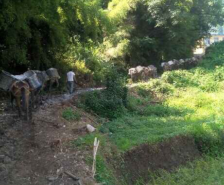 浙江马帮运输队