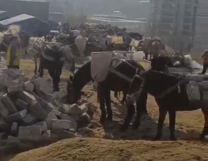浙江马队山路运输