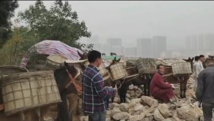 浙江骡马山区运输