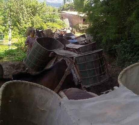 浙江骡马运输队