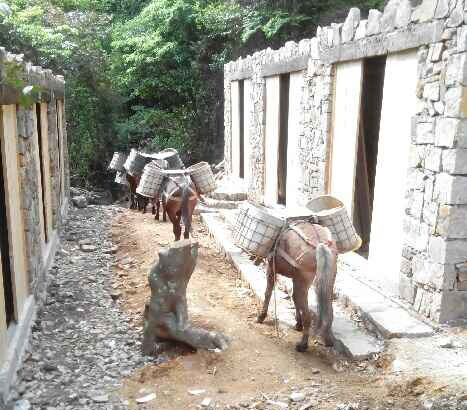 浙江马队运输队