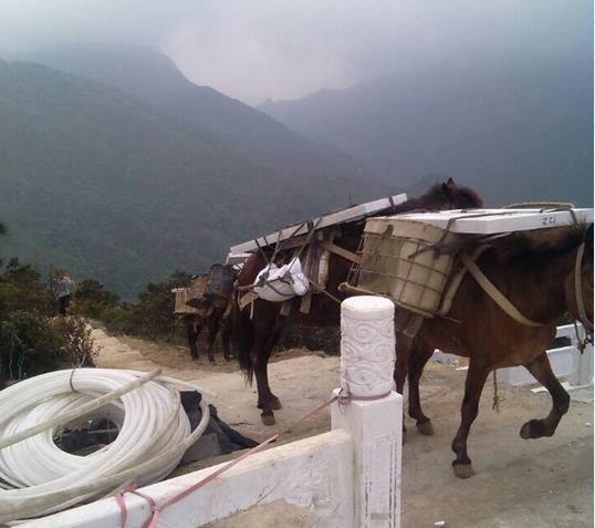 浙江山区马帮运输